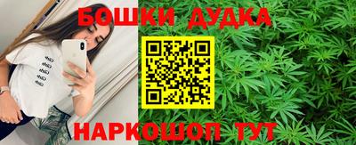 индика Заволжье