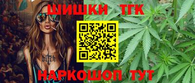 индика Заволжье