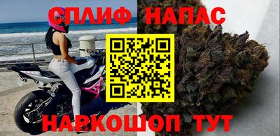 индика Заволжье
