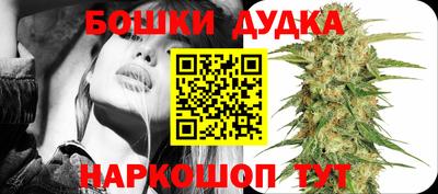 индика Заволжье