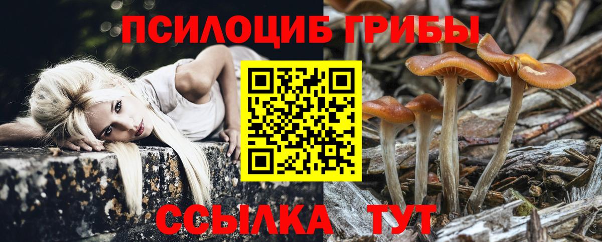 Псилоцибиновые грибы прущие грибы  Вход с VPN  Грязи 