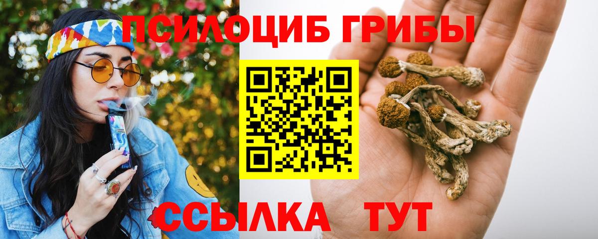 Галлюциногенные грибы GOLDEN TEACHER Грязи